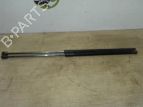 tailgate-lift-support-renault-megane-iii-coupe-dz01_-2008-2009-2010-2011-2012-2013-2014-2015-2016-25409558 main image