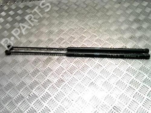 Used Tailgate lift support RENAULT MEGANE III Coupe (DZ0/1_) 1.9 dCi (DZ0N, DZ0J, DZ1J, DZ1K) (131 hp) 31977844