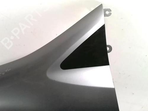 Left front fenders RENAULT MODUS / GRAND MODUS (F/JP0_) 1.5 dCi (FP0F, JP0F) | BP28085566C41 