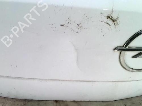 Bakluke CC/Kombi-Kupé OPEL ASTRA H (A04) 1.7 CDTI (L48) | BP27572333C6 