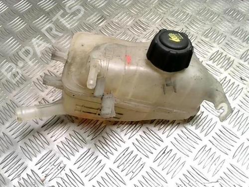 Expansion tank RENAULT SCÉNIC III (JZ0/1_) 1.6 dCi (JZ00, JZ12) | BP30809669C120