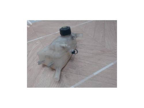 Expansion tank RENAULT SCÉNIC III (JZ0/1_) 1.6 dCi (JZ00, JZ12) | BP25389079C120 