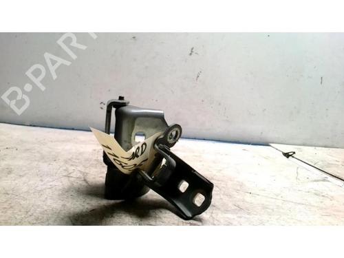 Hinge/Door check strap RENAULT MEGANE II (BM0/1_, CM0/1_) 1.9 dCi | BP25424897C146