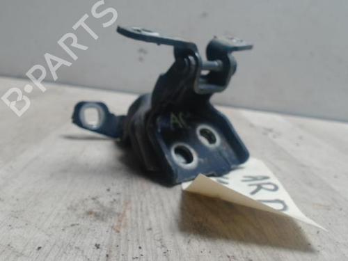 Dobradiça/Esticador de porta DACIA SANDERO 1.4 MPI LPG (72 hp) 25428648