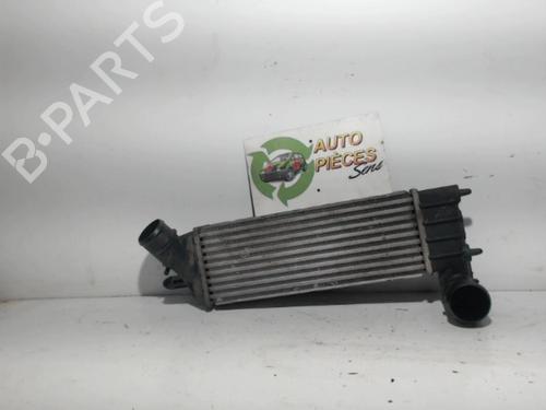 Used Intercooler CITROËN C8 (EA_, EB_) 2.0 HDi (107 hp) 25399817