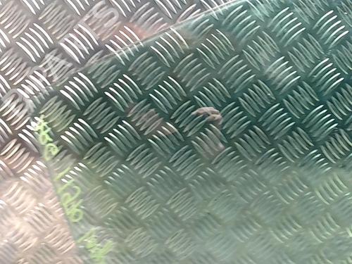 Rear right door window RENAULT LAGUNA III (BT0/1) 2.0 dCi (BT01, BT08, BT09, BT0E, BT0K, BT12, BT1C, BT1D,... | BP31141408C21