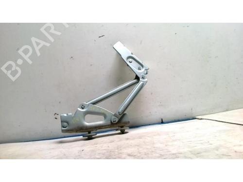 Hinge/Door check strap PEUGEOT 407 (6D_) 2.0 HDi 135 (6DRHRH, 6DRHRE, 6DRHRG, 6DRHRJ) | BP25423535C146 