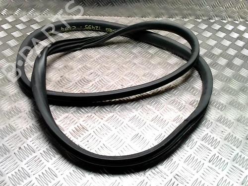 Gummiliste RENAULT CLIO IV (BH_) 1.5 dCi 75 (75 hp) 31811812