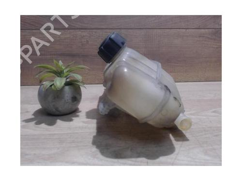 Expansion tank RENAULT CLIO III (BR0/1, CR0/1) 1.5 dCi | BP25385148C120 