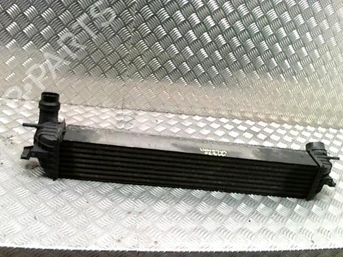 Used Intercooler RENAULT LAGUNA III (BT0/1) 2.0 dCi (BT01, BT08, BT09, BT0E, BT0K, BT12, BT1C, BT1D,... (150 hp) 26218106