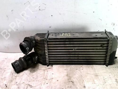 Intercooler PEUGEOT 207 (WA_, WC_) 1.6 HDi (90 hp) 31234697