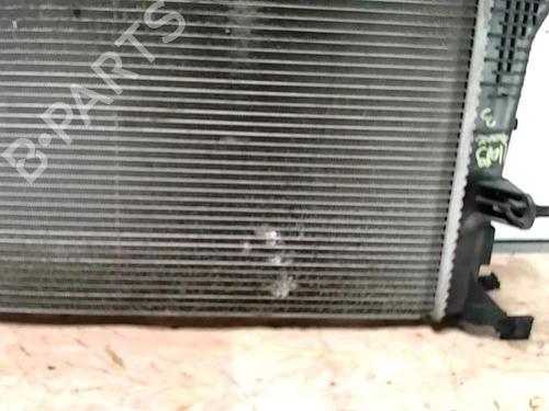 Køler RENAULT SCÉNIC III (JZ0/1_) 1.9 dCi (JZ0J, JZ1J, JZ1K, JZ1S) | BP25420604M31 