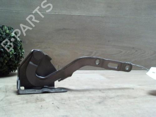 Hinge/Door check strap LANCIA MUSA (350_) 1.3 D Multijet (350.AXB11, 350.AXB1A) | BP25410097C146 