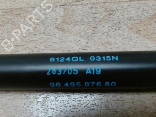 Tailgate lift support PEUGEOT 1007 (KM_) 1.4 | BP29025304C138 