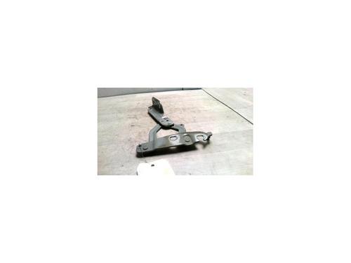 Used Hinge/Door check strap FORD FIESTA VI (CB1, CCN) 1.4 TDCi (68 hp) 25423533