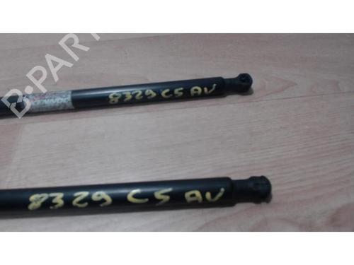 Hood lift support CITROËN C5 II (RC_) 1.6 HDi (RC8HZB) | BP25385718C139
