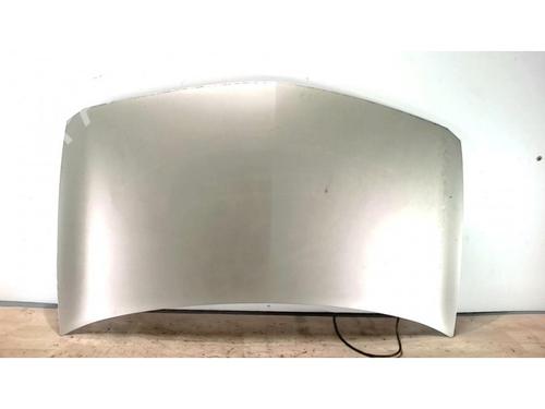 Used Hood RENAULT MEGANE II (BM0/1_, CM0/1_) 1.5 dCi (BM1E, CM1E) (106 hp) 25419862
