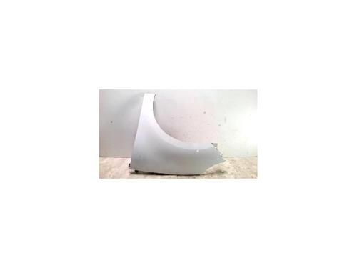 Used Left front fenders RENAULT SCÉNIC III (JZ0/1_) 1.5 dCi (106 hp) 25426712