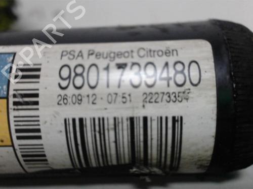Right rear shock absorber CITROËN C3 II (SC_) 1.6 VTi 120 | BP25393492M19
