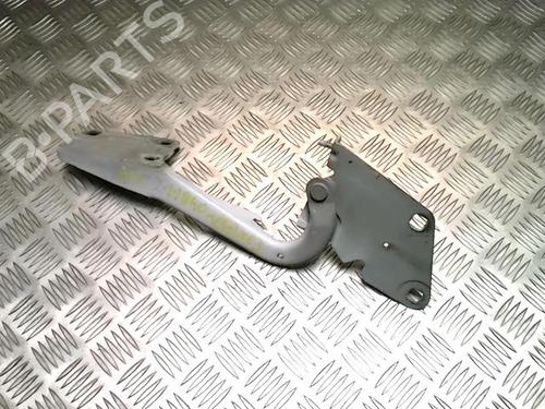 Used Hinge/Door check strap RENAULT MEGANE III Coupe (DZ0/1_) 1.5 dCi (DZ0A) (86 hp) 25859861