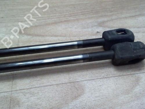 Gasdæmper bagklap FORD FOCUS C-MAX (DM2) 1.8 TDCi | BP29524316C138 