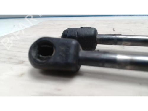 Tailgate lift support RENAULT SCÉNIC II (JM0/1_) 1.5 dCi (JM1E, JM16) | BP25419026C138 