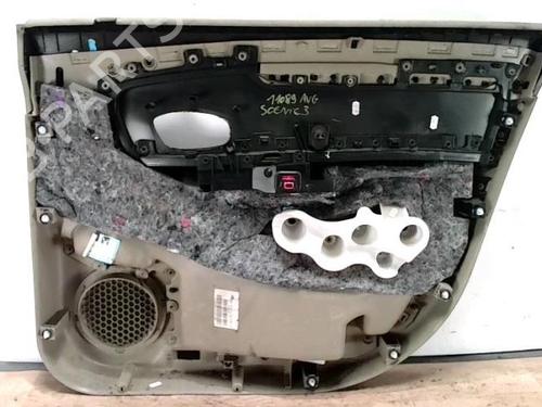 Front left panel RENAULT SCÉNIC III (JZ0/1_) 1.9 dCi (JZ0J, JZ1J, JZ1K, JZ1S) | BP25419539C58 