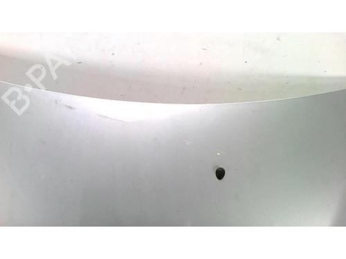 Hood RENAULT CLIO III (BR0/1, CR0/1) 1.2 16V (BR02, BR0J, BR11, CR02, CR0J, CR11) | BP25428728C1 
