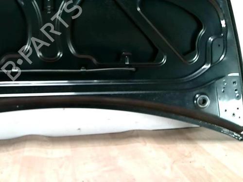 Hood RENAULT CLIO III (BR0/1, CR0/1) 1.6 16V (BR05, BR0B, BR0Y, BR15, BR1J, BR1M, BR1Y, CR0B,... | BP28088660C1 