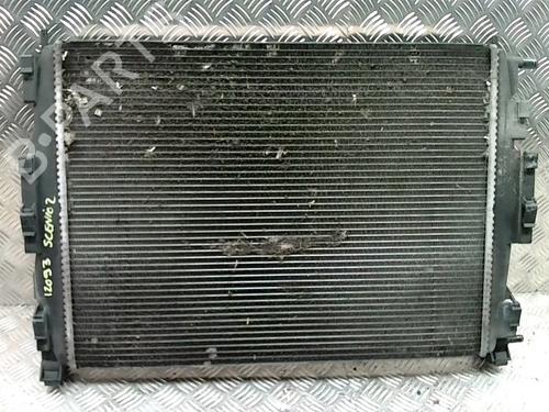 Used Water radiator RENAULT SCÉNIC II (JM0/1_) 1.5 dCi (JM16) (103 hp) 31231691