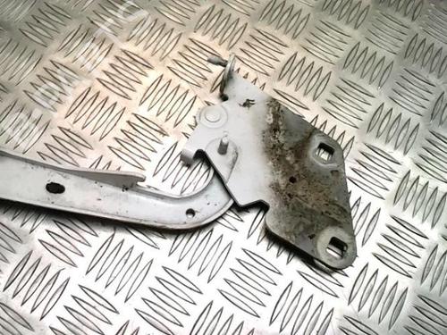 Hinge/Door check strap RENAULT MEGANE III Coupe (DZ0/1_) 1.5 dCi (DZ0A) | BP25861324C146 