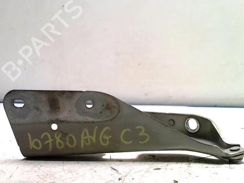 Used Hinge/Door check strap CITROËN C3 I (FC_, FN_) 1.6 16V HDi (90 hp) 25418003