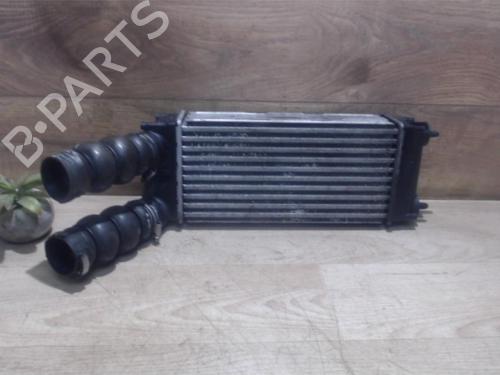 Used Intercooler CITROËN XSARA PICASSO (N68) 1.6 (95 hp) 25384766