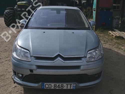 Hinge/Door check strap CITROËN C4 Coupe (LA_) 2.0 HDi | BP29159695C146 