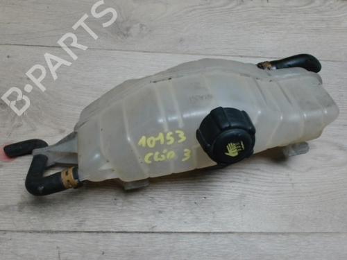 Used Expansion tank RENAULT CLIO III (BR0/1, CR0/1) 1.5 dCi (BR17, CR17) (86 hp) 29054740