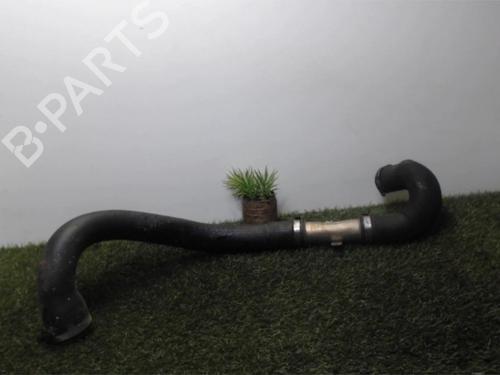 Rør RENAULT CLIO II (BB_, CB_) 1.9 D (B/CB0E, BB0J) (64 hp) 25391111