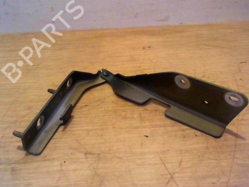 Used Hinge/Door check strap CITROËN C3 I (FC_, FN_) 1.4 HDi (68 hp) 25390516