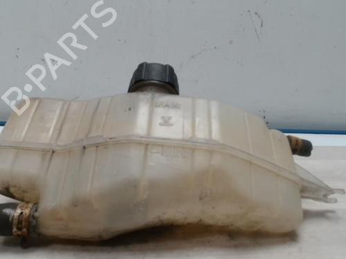 Used Expansion tank RENAULT CLIO III (BR0/1, CR0/1) 1.5 dCi (BR17, CR17) (86 hp) 25419070
