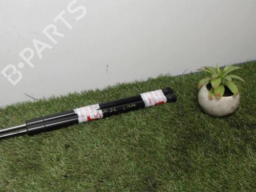 Tailgate lift support FORD FOCUS C-MAX (DM2) 1.6 TDCi | BP25395137C138 