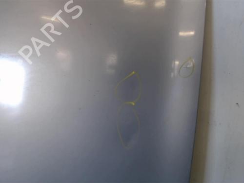 Hood RENAULT MEGANE II (BM0/1_, CM0/1_) 1.9 dCi (BM0G, CM0G) | BP25396077C1 