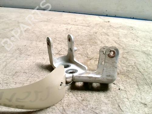 hingedoor-check-strap-peugeot-208-i-ca_-cc_-2012-2013-2014-2015-2016-2017-2018-2019-2020-2021-25425142 main image