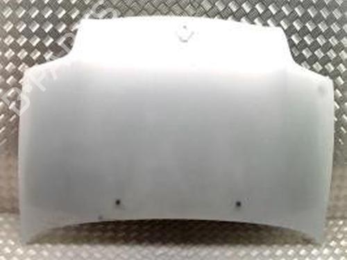 Panser RENAULT CLIO II (BB_, CB_) 1.2 (BB0A, BB0F, BB10, BB1K, BB28, BB2D, BB2H, CB0A,... (58 hp) 30529487