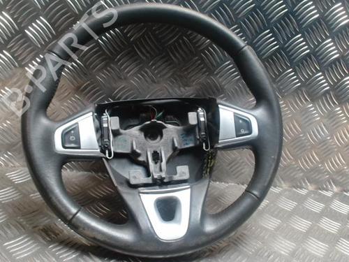 Rat Rat RENAULT GRAND SCÉNIC III (JZ0/1_) 1.6 dCi (JZ00, JZ12) (130 hp) 30957948 30957948