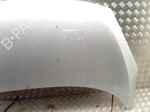 Hood RENAULT SCÉNIC III (JZ0/1_) 1.5 dCi | BP31230499C1