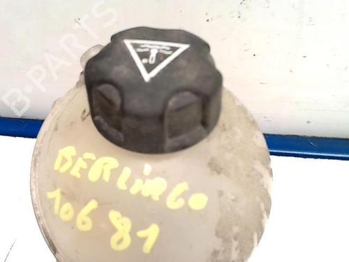 Used Expansion tank CITROËN BERLINGO MULTISPACE (B9) 1.6 HDi 90 (92 hp) 25416859