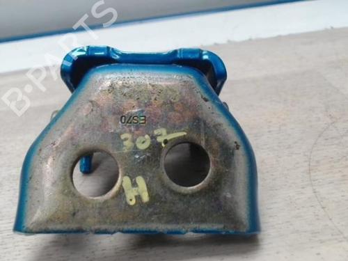Hinge/Door check strap PEUGEOT 307 (3A/C) 2.0 HDi 90 | BP28157608C146 