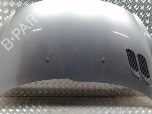 hood-peugeot-206-2l_-2m_-2009-2010-2011-2012-2013-34005685 main image