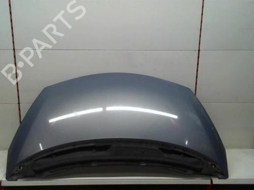 Panser RENAULT ESPACE IV (JK0/1_) 1.9 dCi (JK0U) (116 hp) 25401435