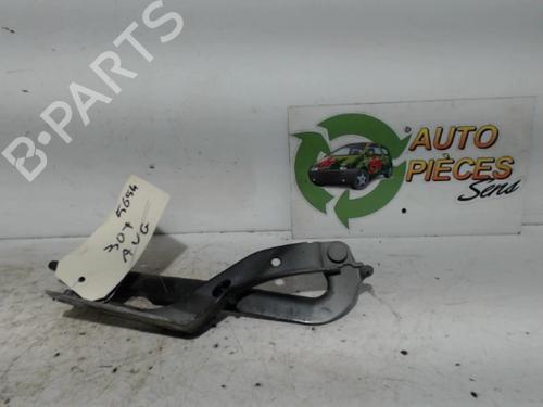 Used Hinge/Door check strap PEUGEOT 307 (3A/C) 2.0 HDi 90 (90 hp) 25398915