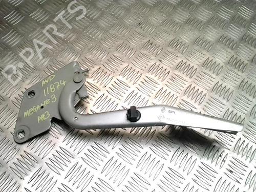 Used Hinge/Door check strap RENAULT MEGANE III Hatchback (BZ0/1_, B3_) 1.5 dCi (BZ1G, BZ1W, BZ0R) (95 hp) 31231290